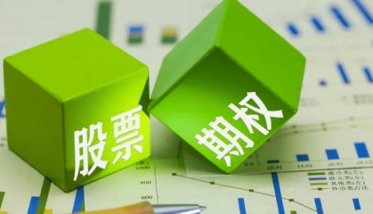 个股期权怎么交易？盈利如何计算？