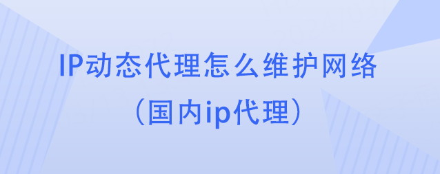 IP动态代理怎么维护网络（国内ip代理）