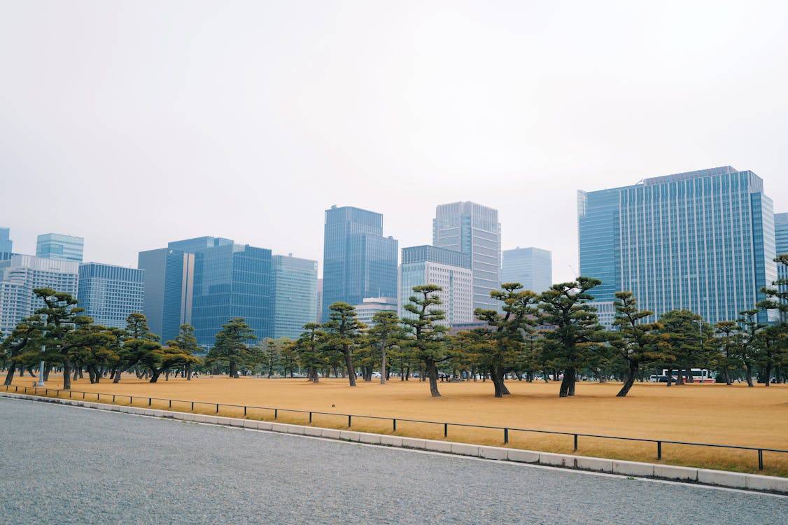 期权模拟账号申请开通指南