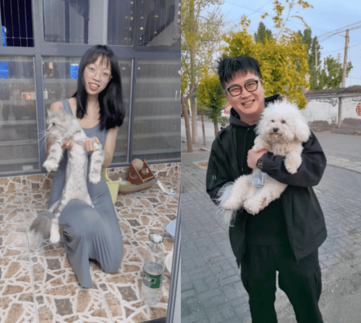 北京迪佳宠物服务有限公司：寻宠行业的风向标