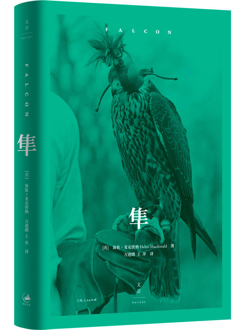现存速度最快的动物——隼的文化史